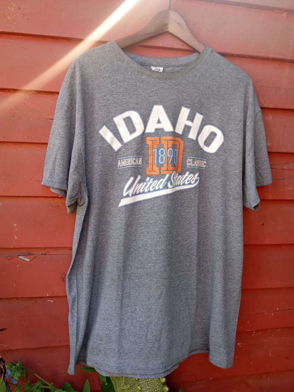 90s/2000s Idaho Graphic Short Sleeve T-Shirt - GrayXL